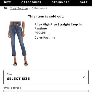 Agolde - Riley High Rise Straight Crop in Pastime